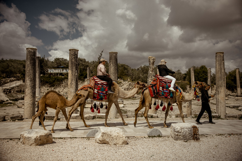 Camel riding