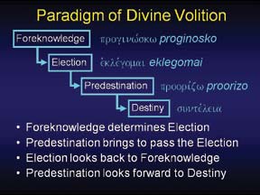 divine_volition