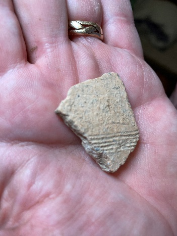 My surprise pottery sherd.