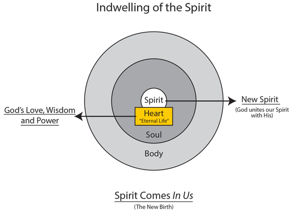 Chart 25: Indwelling of the Spirit